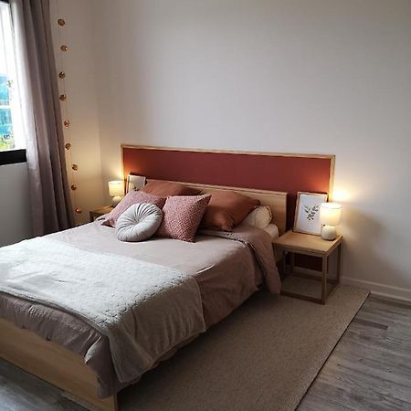 Appartement Avec Garage Proche Du Centre-Ville Троа Екстериор снимка